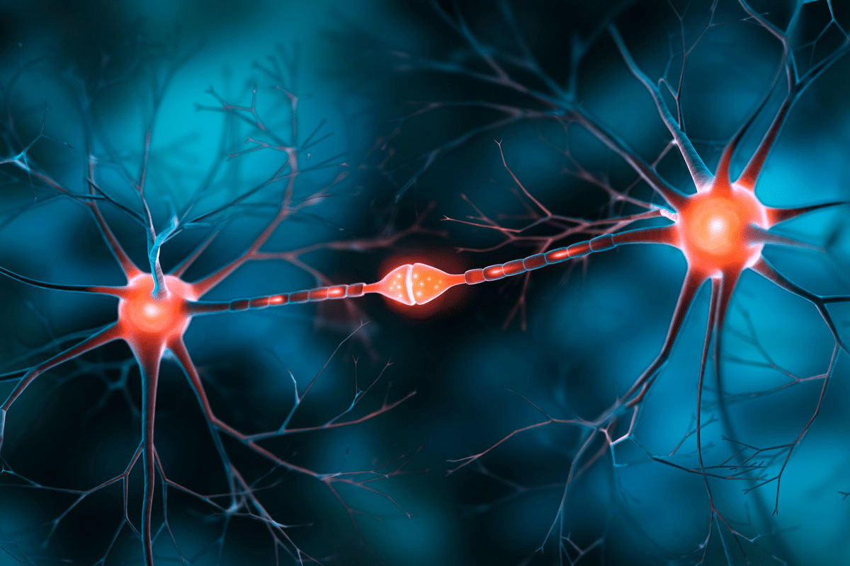 Dying Neurons: Best Recovery Science 2 Dying Neurons: Best Recovery Science