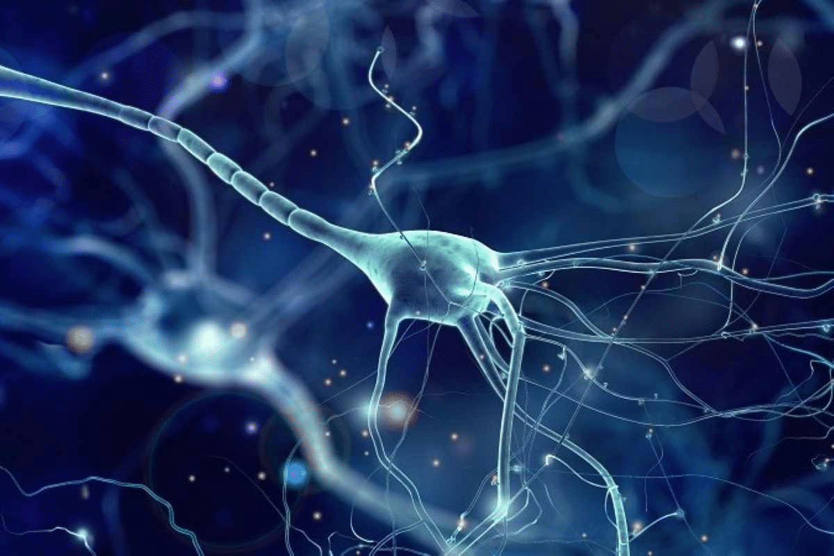 Dying Neurons: Best Recovery Science 1 Dying Neurons: Best Recovery Science