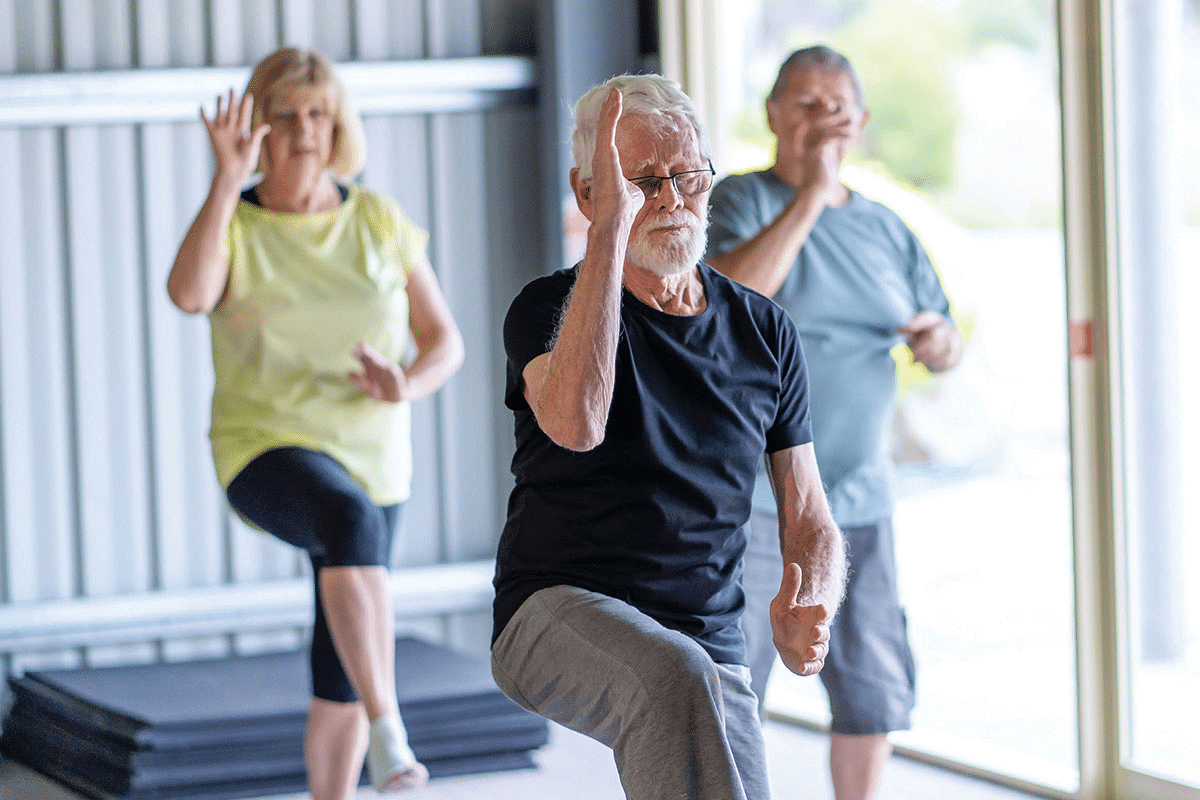 Printable Chair Exercises PDF: Best Free