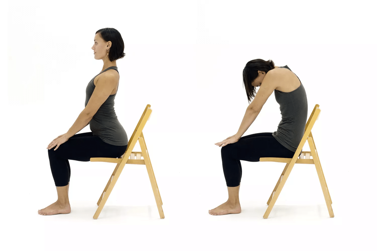 Chair Fitness for Seniors: Best Tips 3 Chair Fitness for Seniors: Best Tips