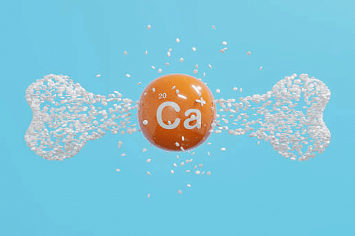 Calcium Citrate No Vitamin D: Best Picks 1 Calcium Citrate No Vitamin D: Best Picks