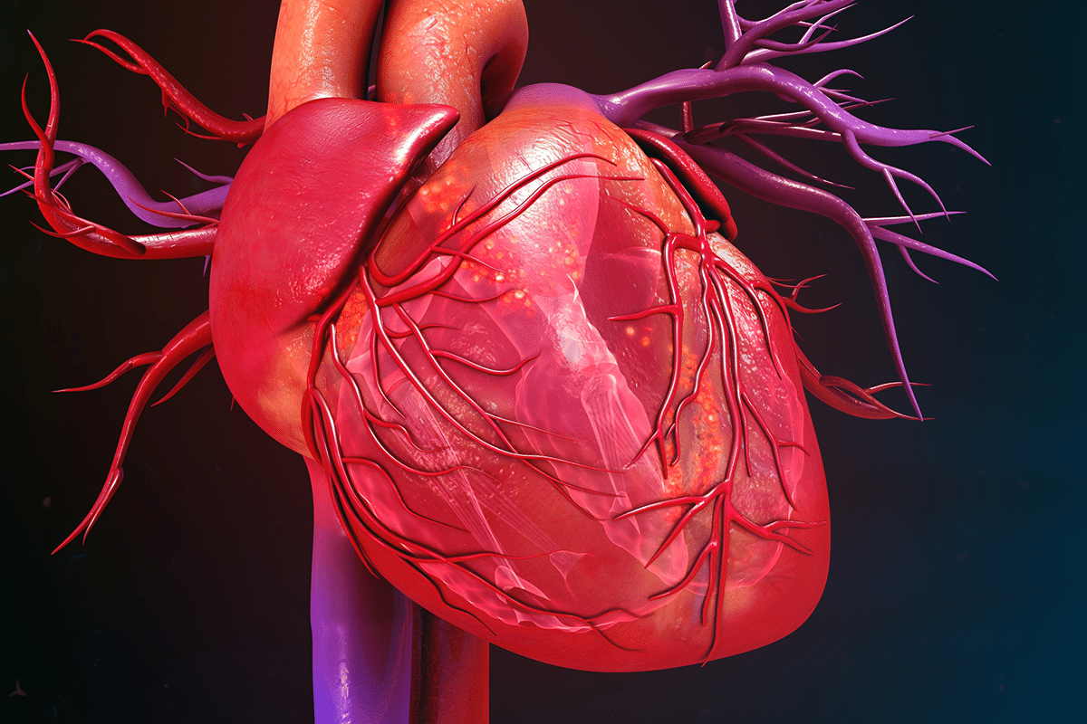 What Your Heart Age Says About Your Health