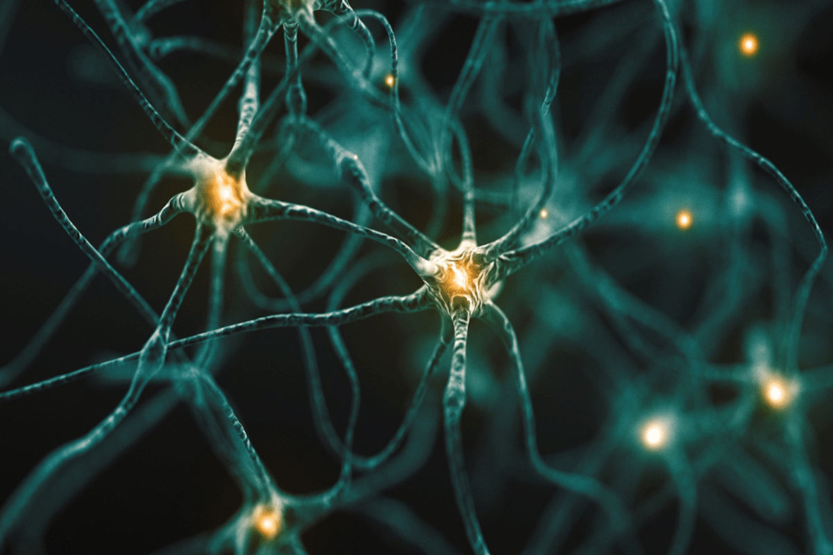 Purpose of Nucleus in Neuron: Best Guide 1 Purpose of Nucleus in Neuron: Best Guide