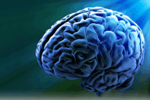 Brain Cells or Brain Cells: Best Facts