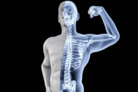 Bone Density Supplements: Best Choices