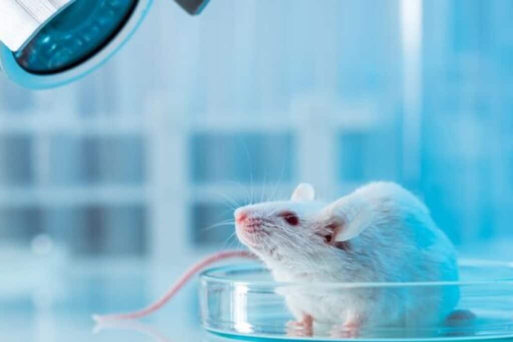 Can Gene Therapy Extend Life? Breakthrough Studies on Reverse Aging in Mice