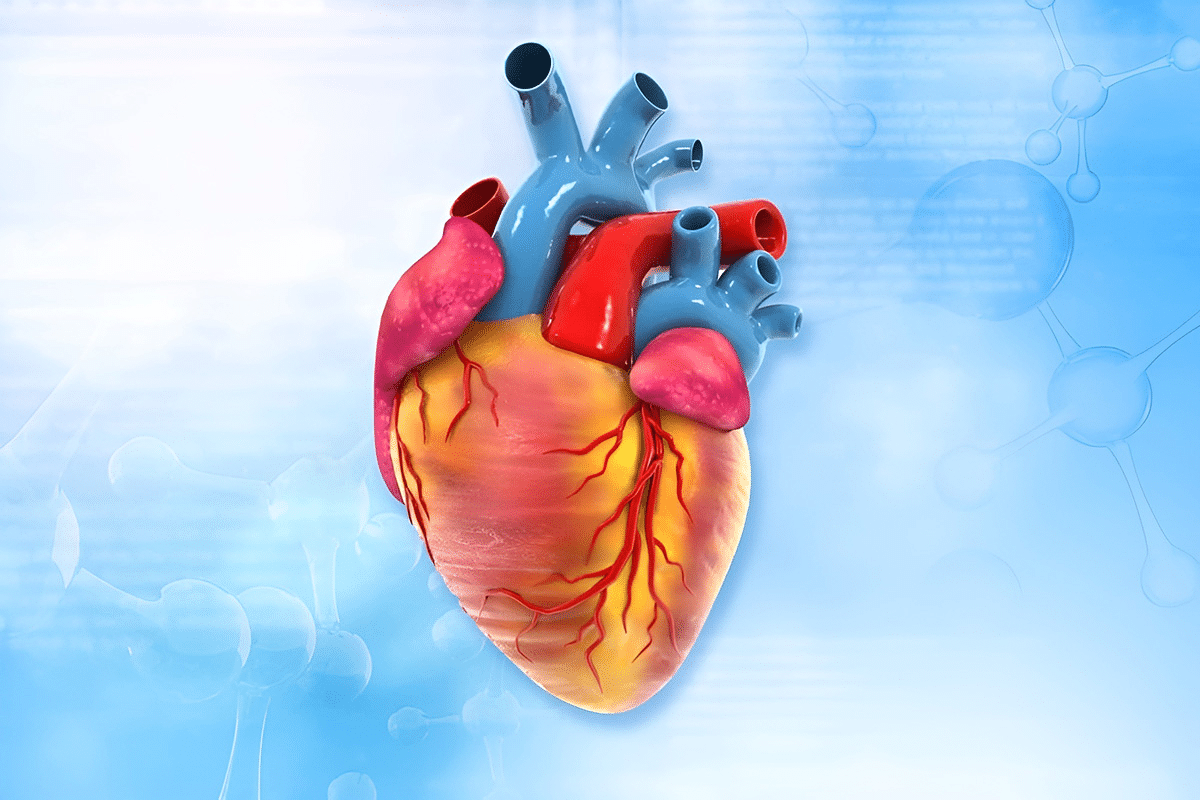 Amyloidosis of Heart: A Dangerous Condition