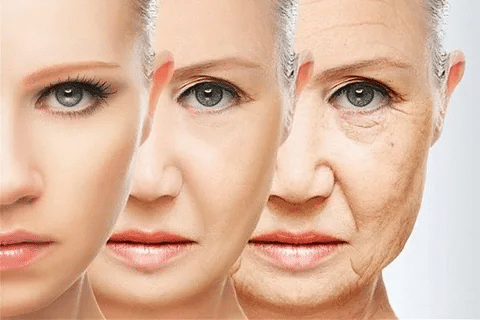 The Elderly Population Continues to Grow: 5 Facts