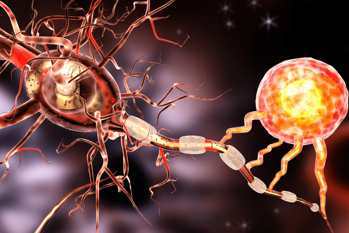 Fascinating Main Risk Factors For Multiple Sclerosis