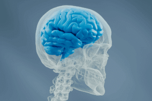 Fascinating Main Risk Factors For Multiple Sclerosis