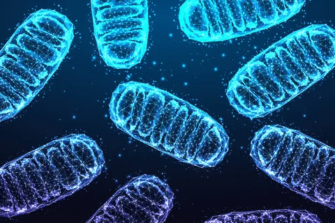 Key Is MS A Hereditary Disease: Genetic Risk