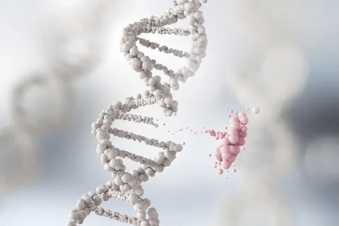 Complete Is MS Hereditary: Genetic Factors & Risk