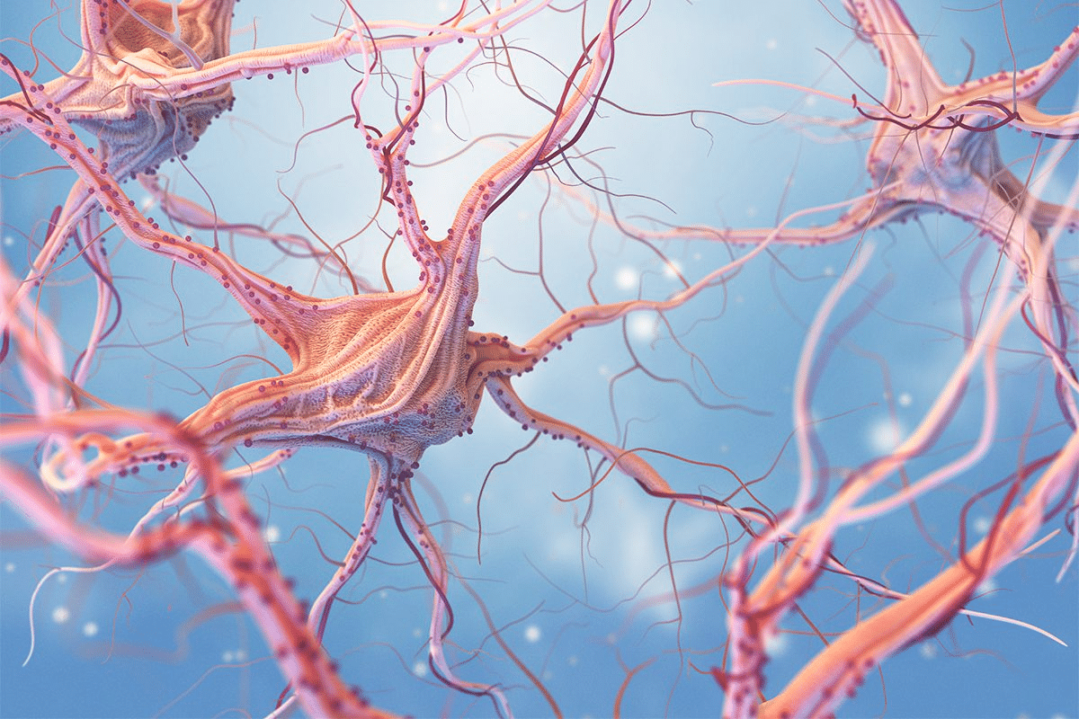 Complete Central Nervous System Vasculitis: Symptoms & Treatment
