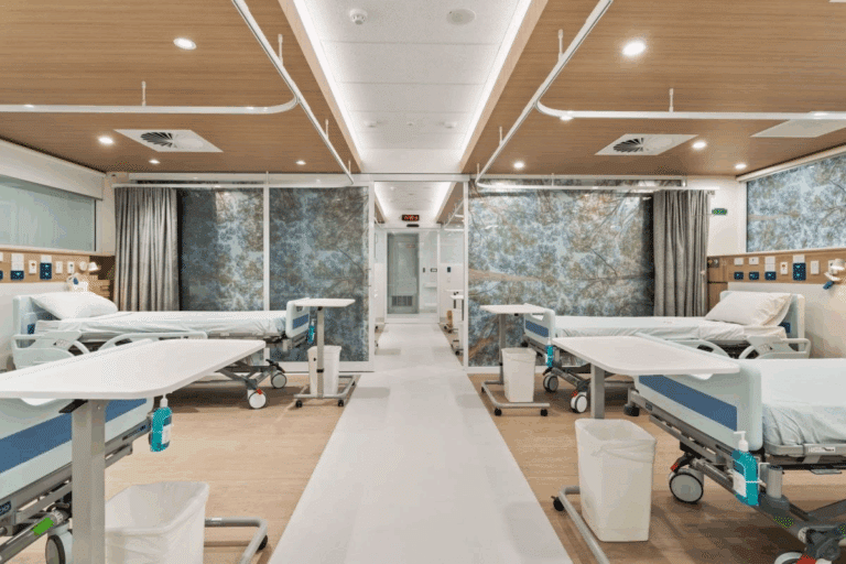 Fascinating 7 Main Organs In Nervous System Explained