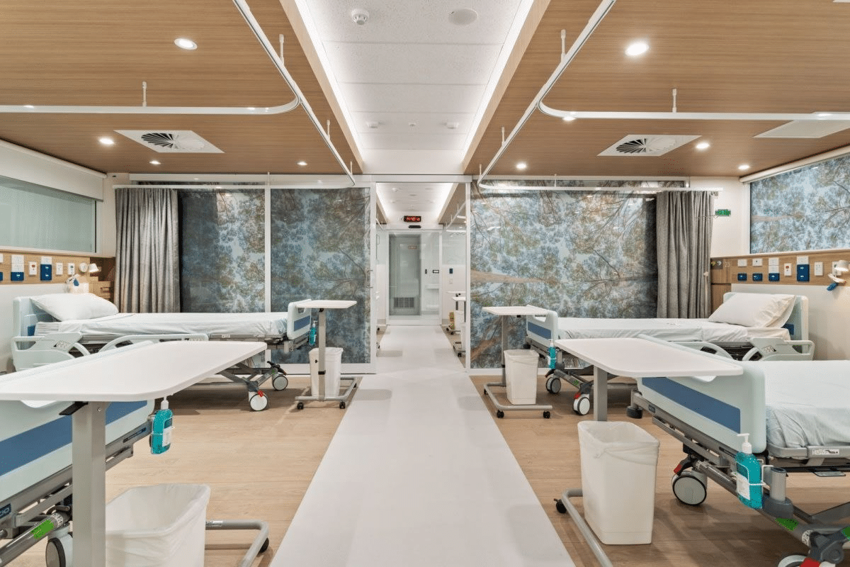 Fascinating 7 Main Organs In Nervous System Explained