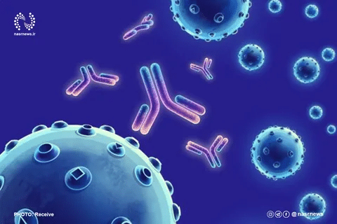 Guide What Does A Positive ANA Test Mean For Health?