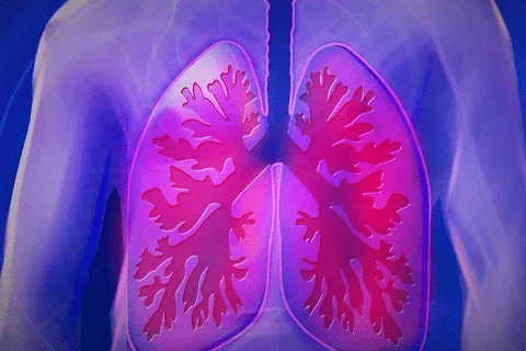 word image 240259 2 LIV Hospital