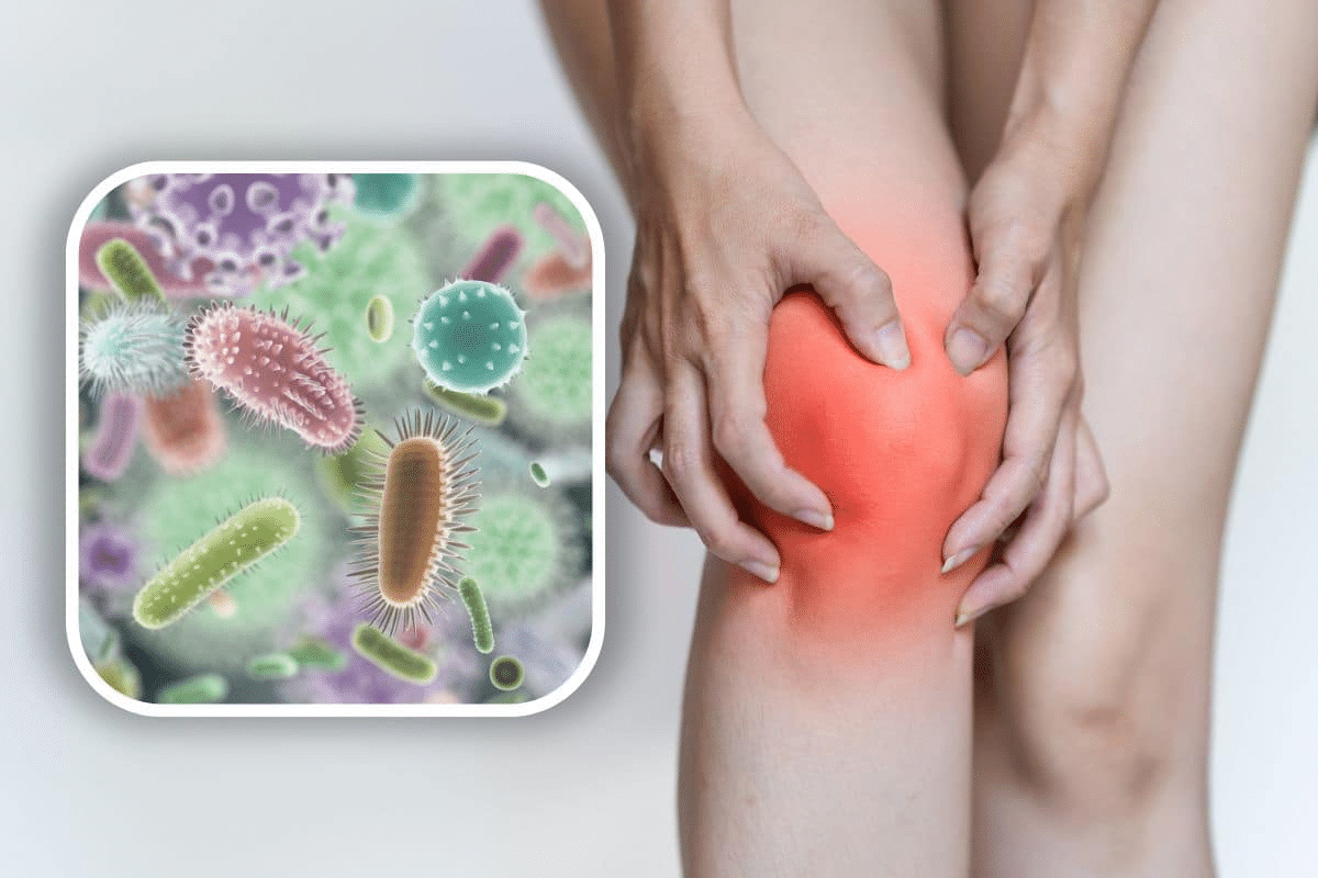 Sharp Prevent RA: Key Predisposing Factors Of Rheumatoid Arthritis