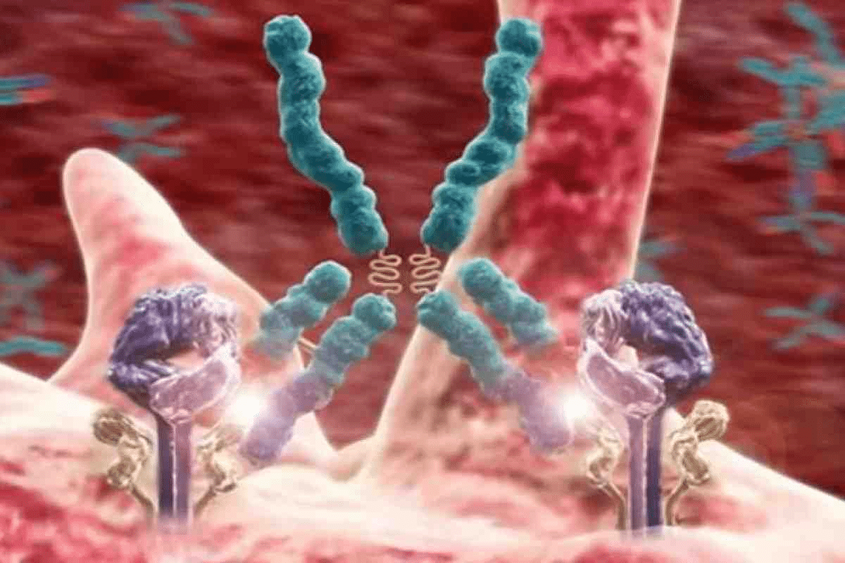 Insightful Rheumatoid Arthritis Disease Progression Pathophysiology