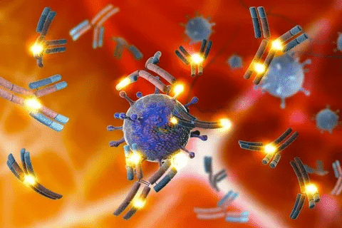 Amazing What Blood Work Shows Lupus: Key Tests