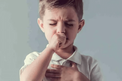 Essential 5 Best Chronic Cough Suppressant Relief 2 Essential 5 Best Chronic Cough Suppressant Relief