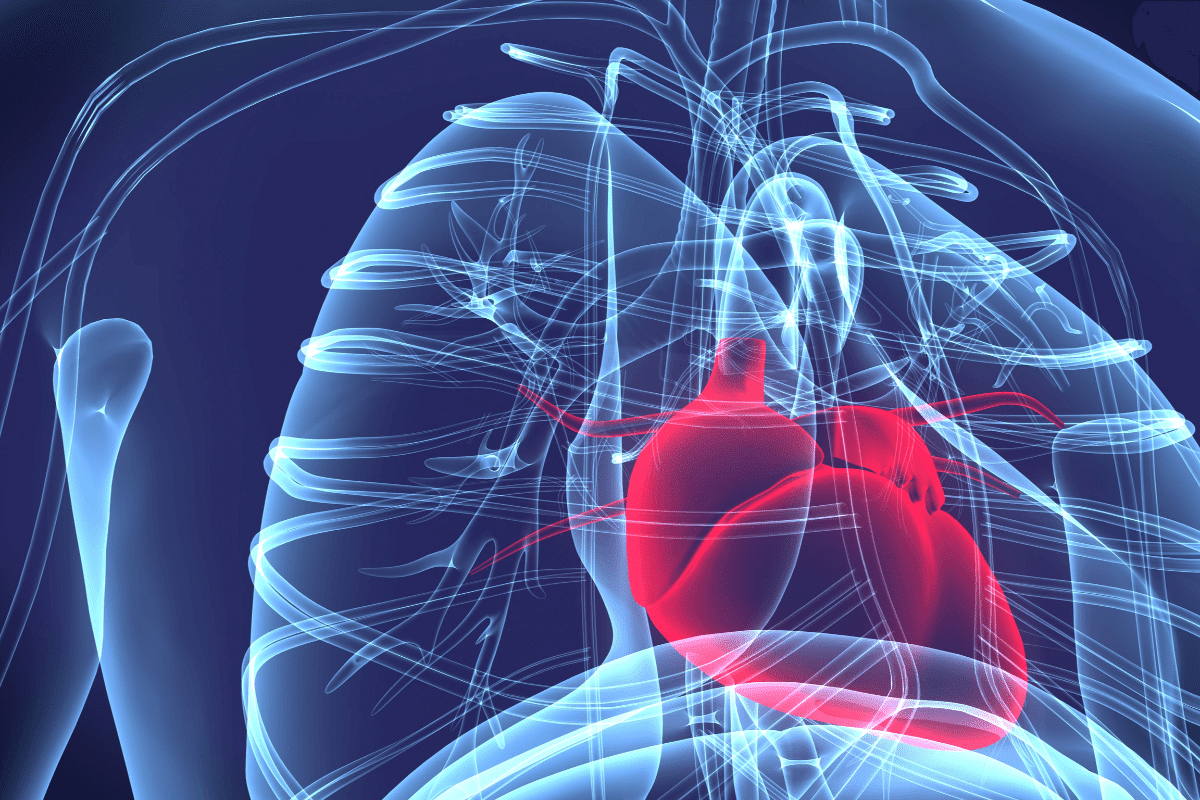 Valuable Chronic Obstructive Pulmonary Disease And Congestive Heart Failure 2 Valuable Chronic Obstructive Pulmonary Disease And Congestive Heart Failure
