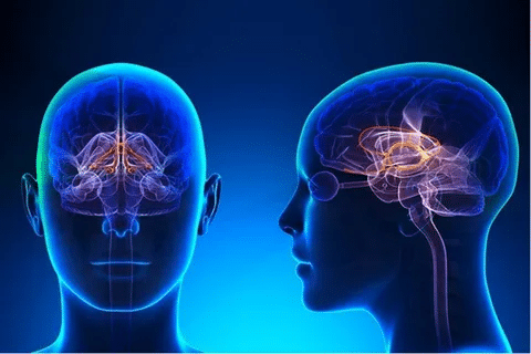 Amazing Does COPD Cause Dizziness: Connection Explained