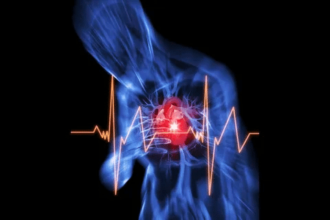 Key Can COPD Cause Heart Failure? Connection Explained