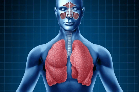 Sharp Does COPD Cause Mucus And Phlegm In The Lungs?