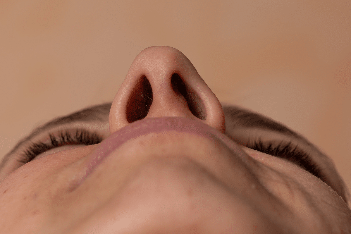 Essential Causes Of Why Is My Nose Stopped Up Explained