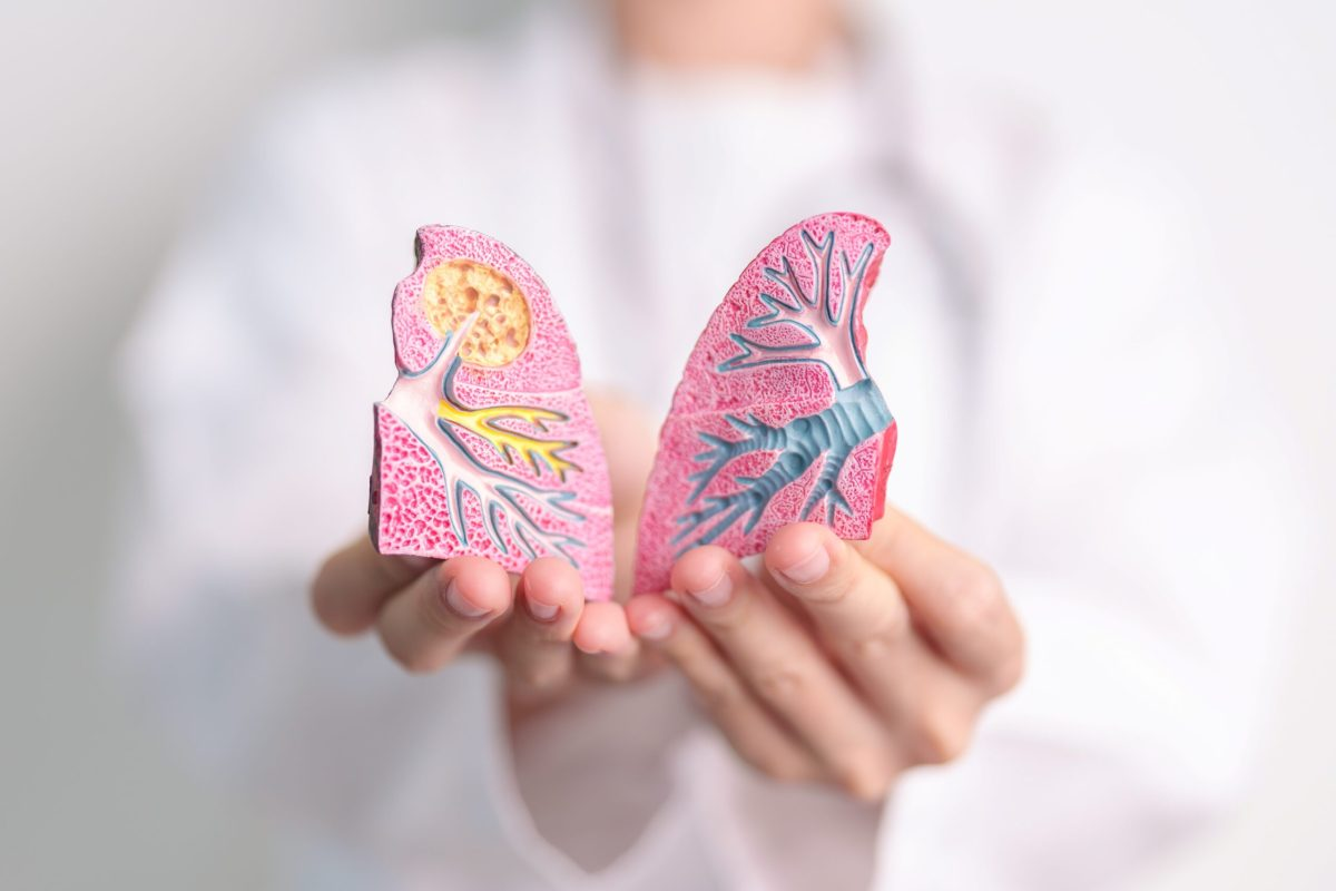 Guide What Do Normal Lungs X Ray Images Show? 2 Guide What Do Normal Lungs X Ray Images Show?