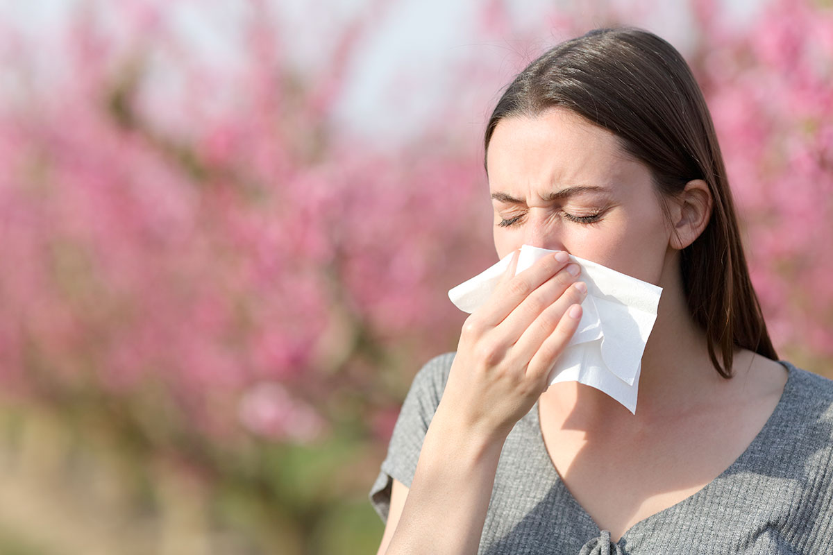 Spell Allergies: Best Definition Guide 3 Spell Allergies: Best Definition Guide