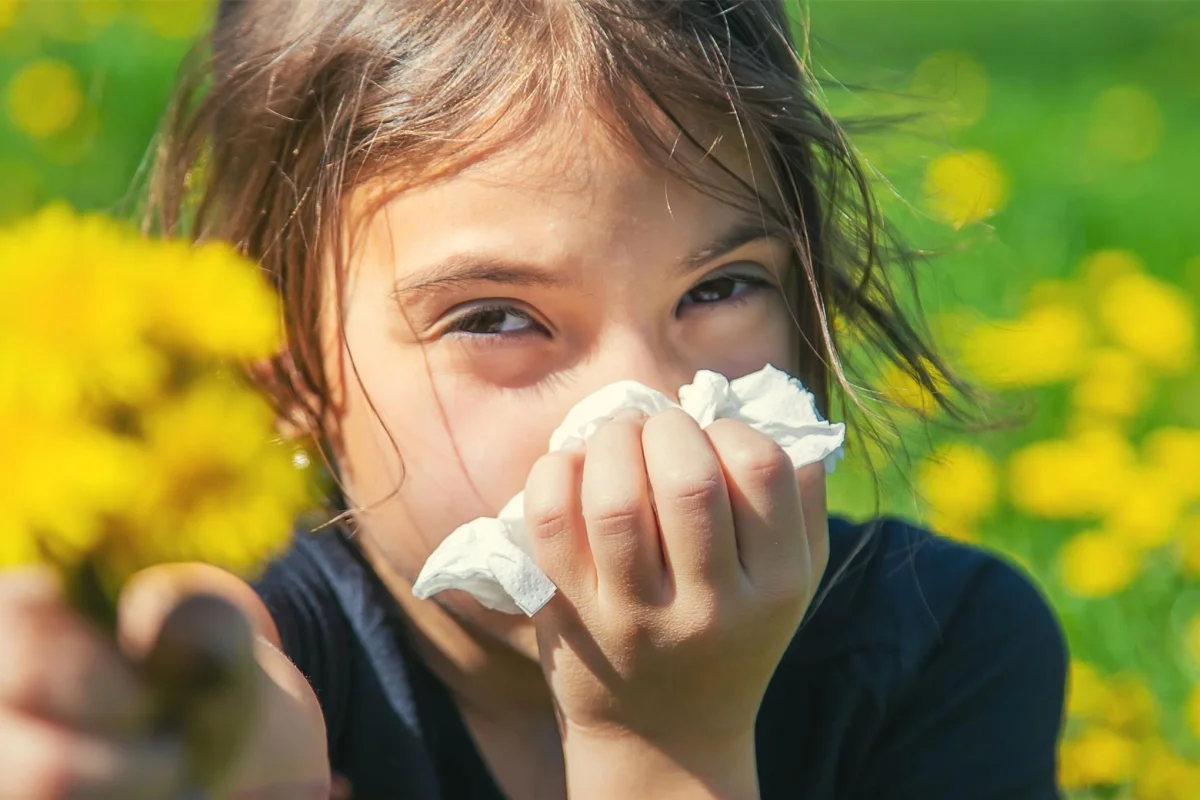 Spell Allergies: Best Definition Guide 2 Spell Allergies: Best Definition Guide