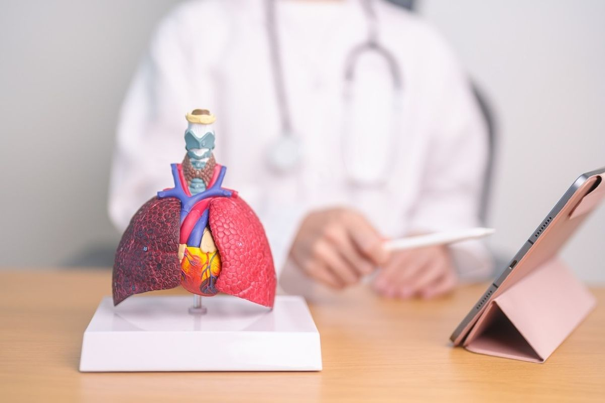 Bronchitis Lung X Ray: 7 Key Findings