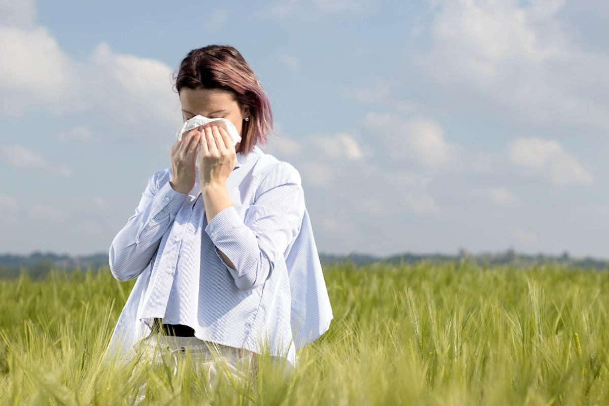 Allergen Definition: Vital Immune Facts 3 Allergen Definition: Vital Immune Facts