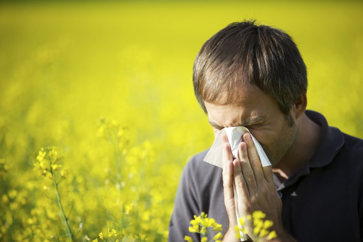 Define Allergy: Comprehensive Definition