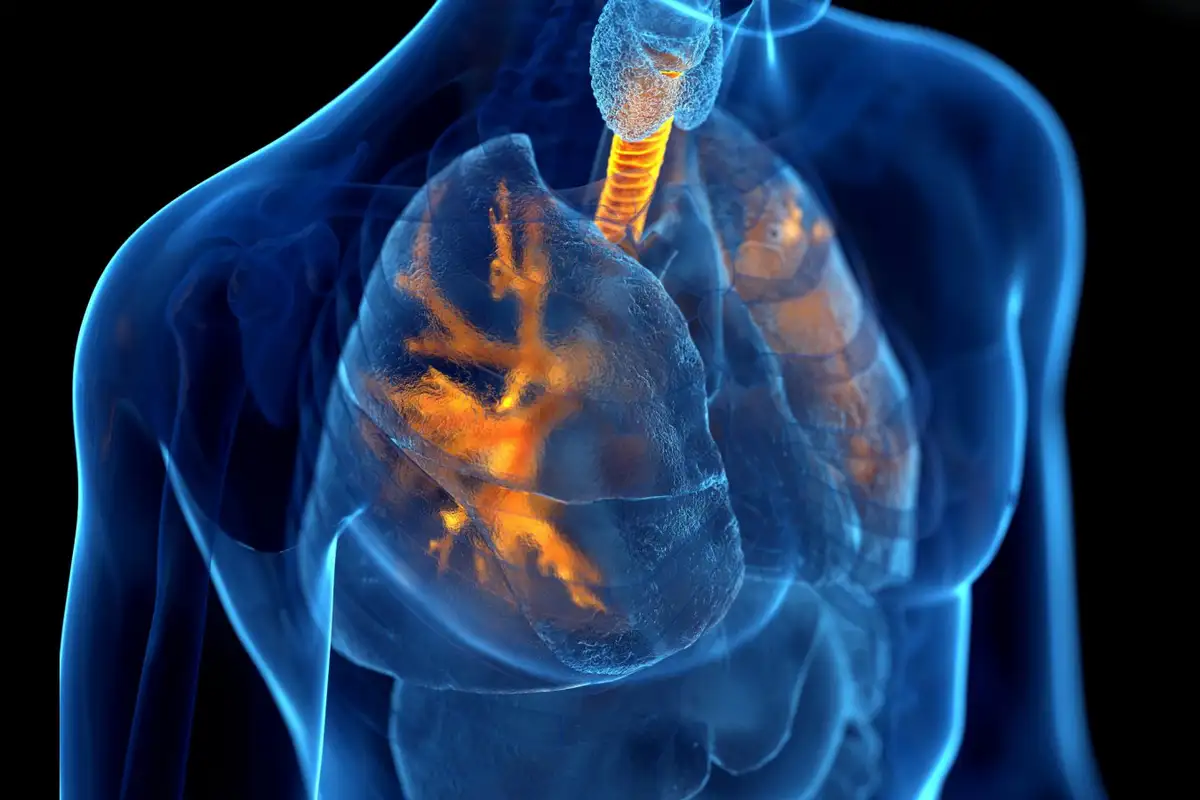 Simple Can Copd Be Reversed With Exercise Guide