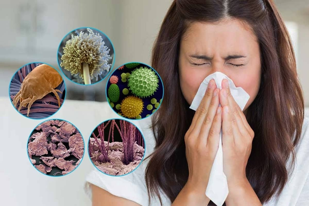 Why Do People Get Allergies? Essential Facts