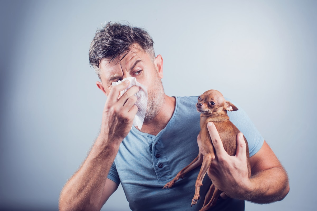 Can Allergies Affect Asthma? Vital Connection