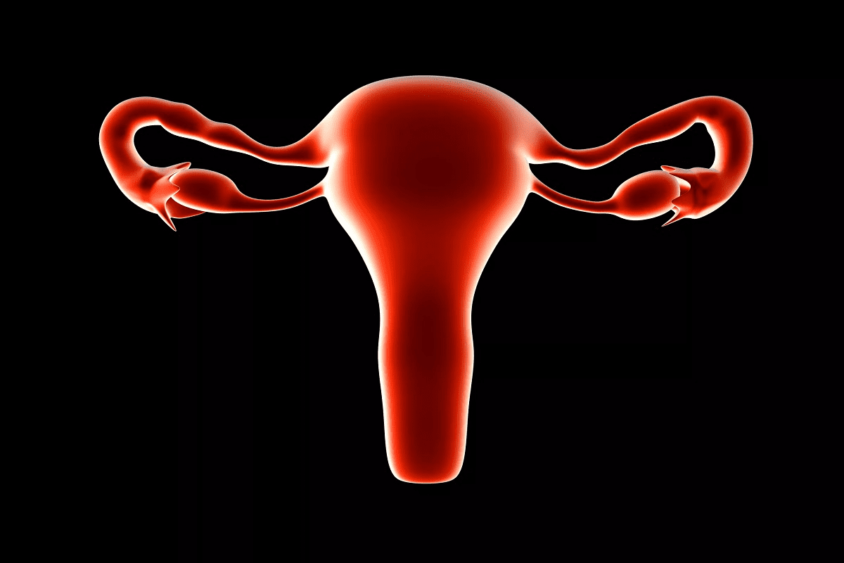 Complete Can Your Uterus Fall Out: Prolapsed Uterus Feeling