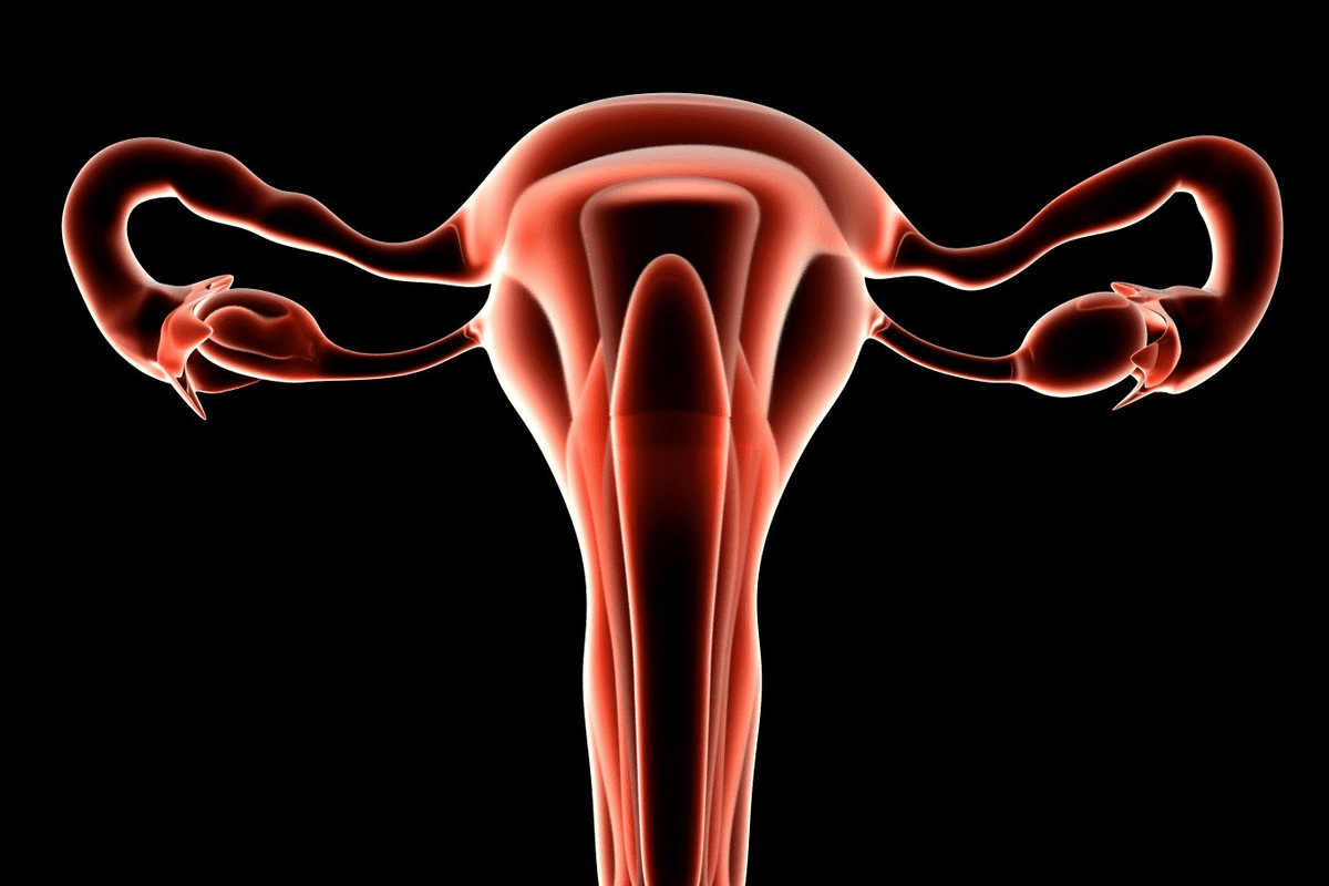 Complete Exercises For Tipped Uterus: How To Fix It 3 Complete Exercises For Tipped Uterus: How To Fix It