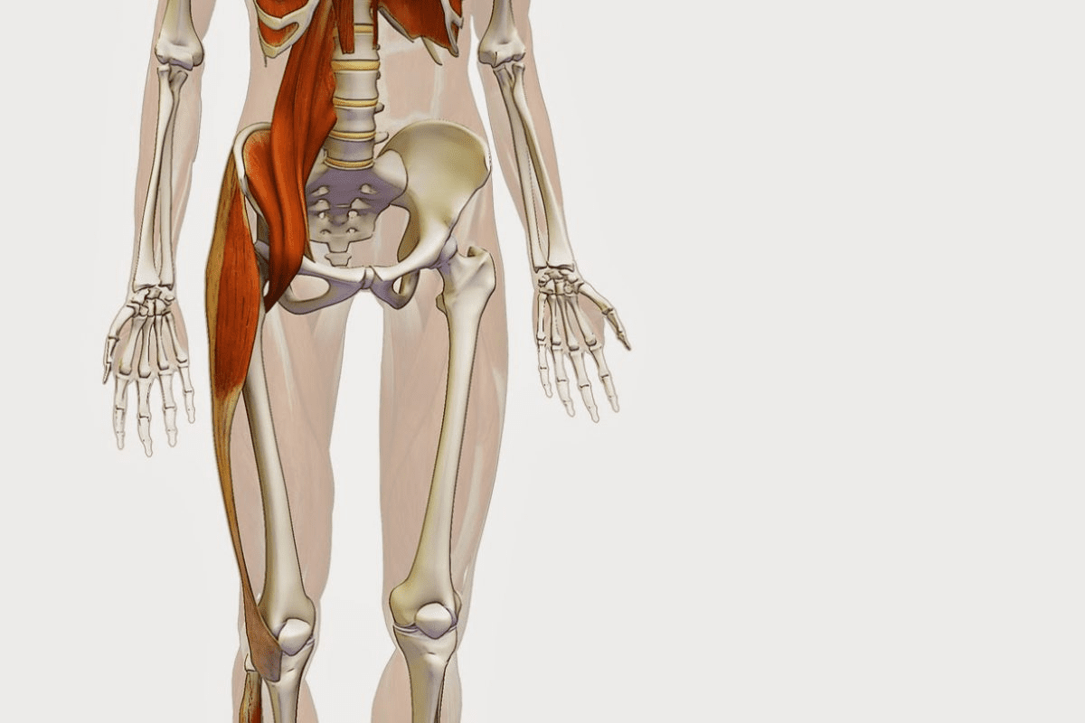 Fascinating Complete Hip Exercises For Women Strengthening Guide 3 image 1763977324375 LIV Hospital