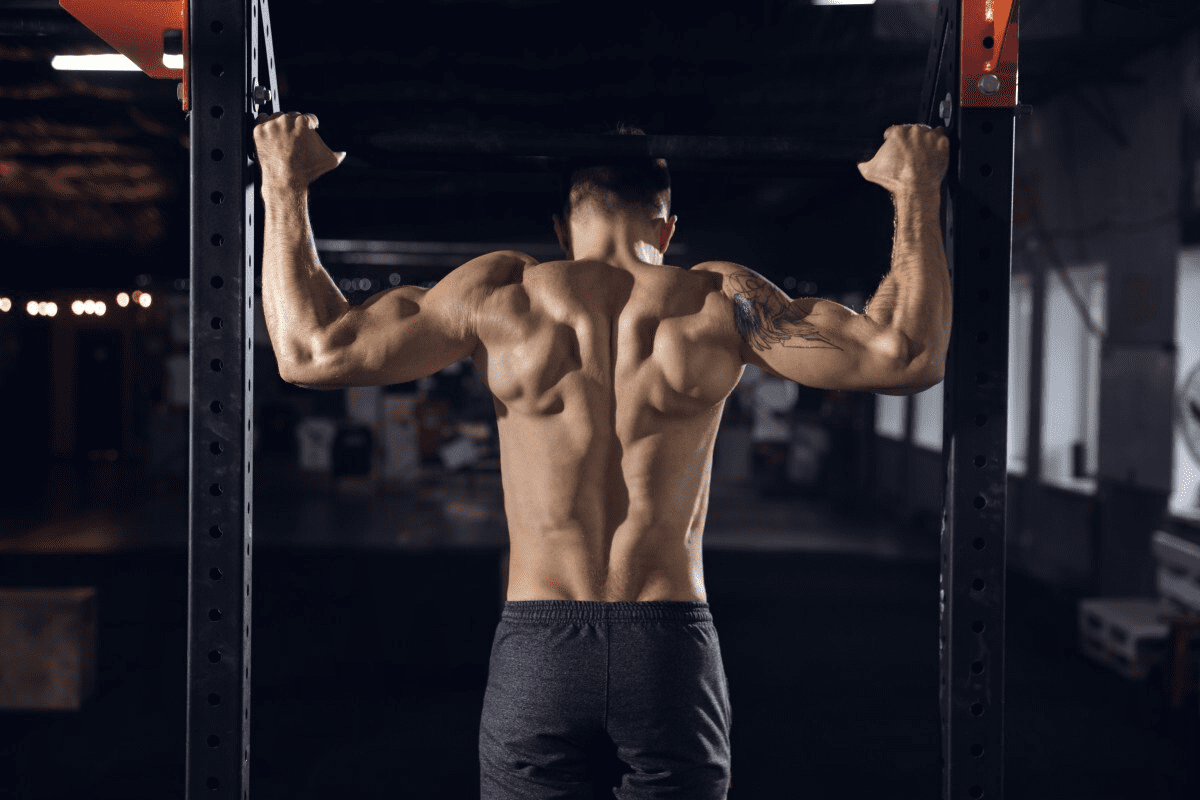 Ultimate 12 Best Middle Back Workouts For Gym Routines
