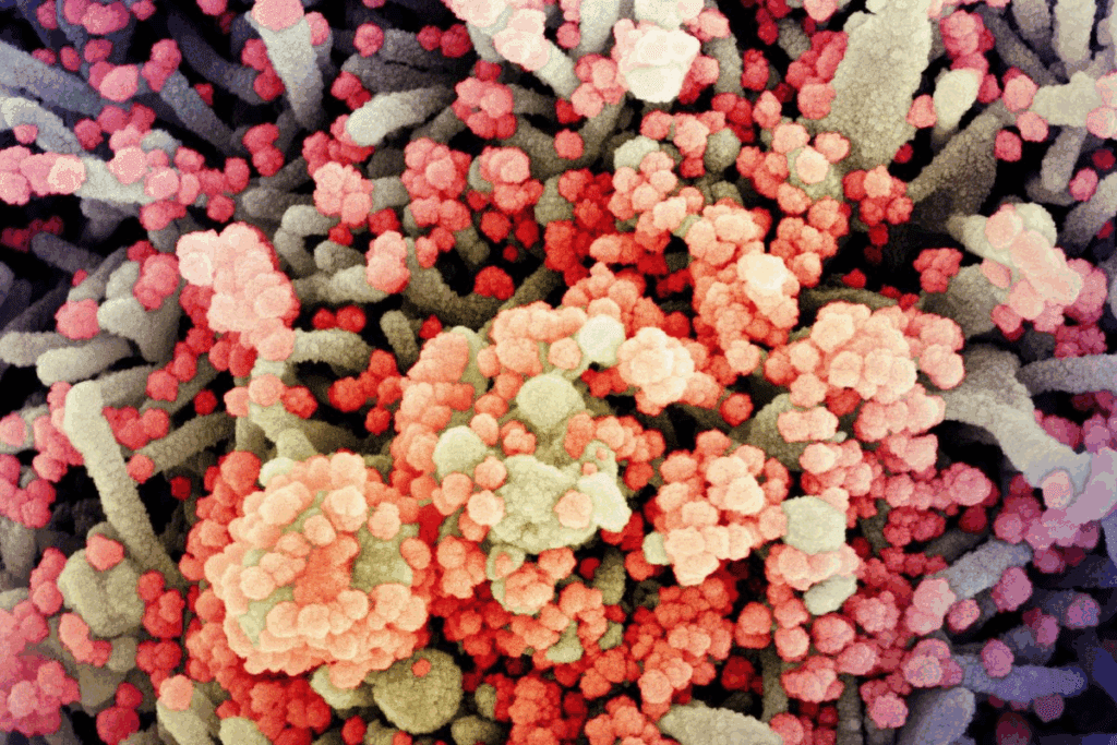 14 Diseases List: Vital Health Guide