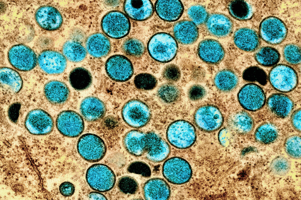 Fully Immunized: Critical Safety Guide