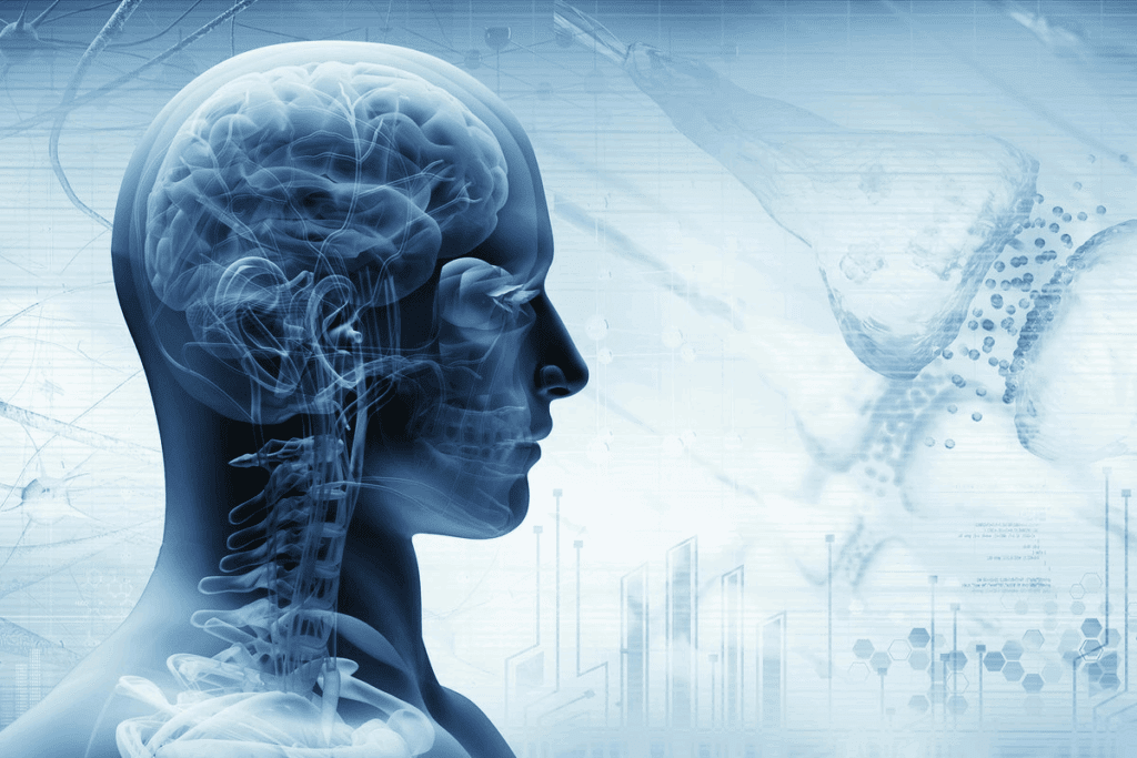 Trigeminal Cranial Nerve Function: 5 Critical Roles