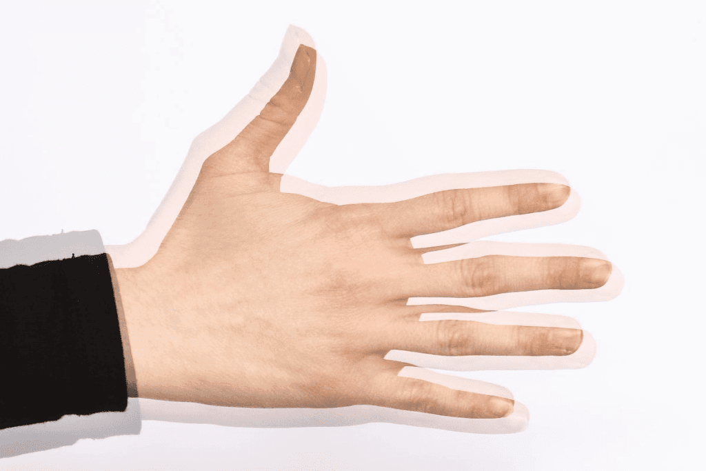 Cranial Nerve 13: Understanding the 13th Cranial Nerve 1 Cranial Nerve 13: Understanding the 13th Cranial Nerve