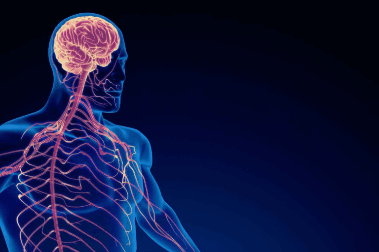 What Does Occlusion Mean in Medical Terms? Find Out