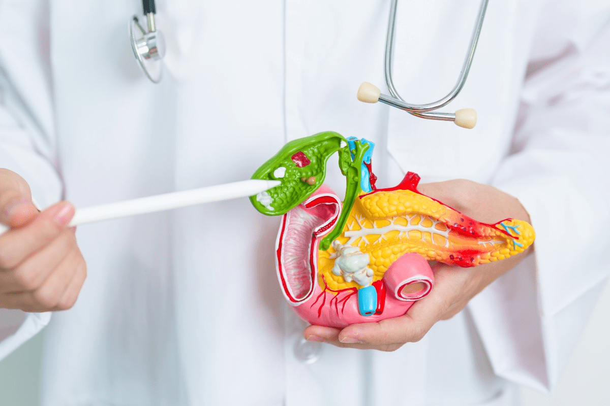 Liver Function Without Gallbladder: Important Facts