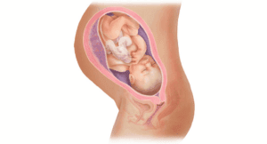 3rd Week Pregnancy Symptoms: Early Signs